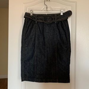 Banana Republic Pencil Skirt